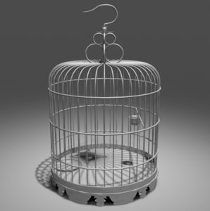 3D bird cage