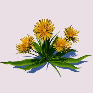 3D dandelion flower