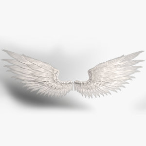 3D realistic wings