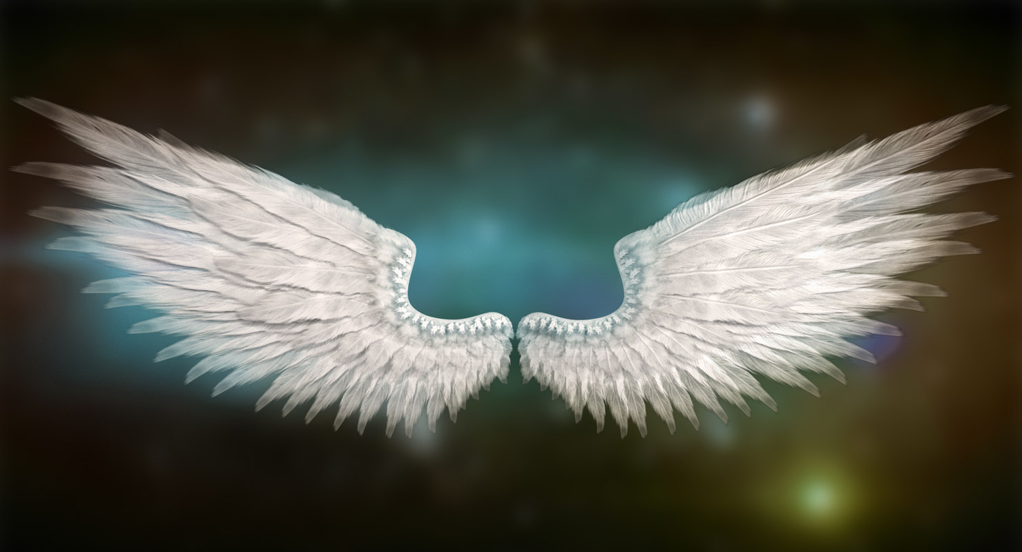 angel wings 3d model