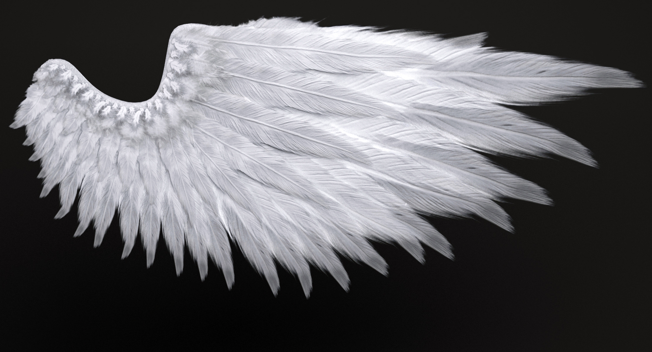 angel wings 3d model free