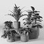plants set 06 3D