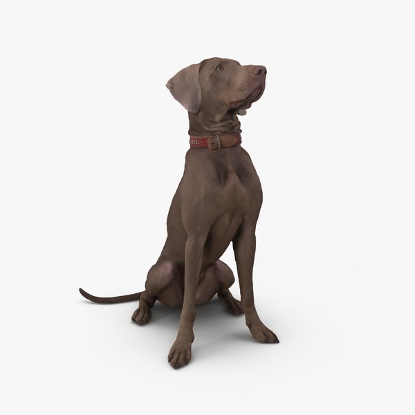 How To Turn Your Breed From Blah Into Fantastic