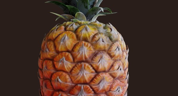 modelo 3d Piña realista de fruta entera y hojas - TurboSquid 1283082