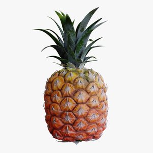 realistic pineapple fruit leaves 3D model
