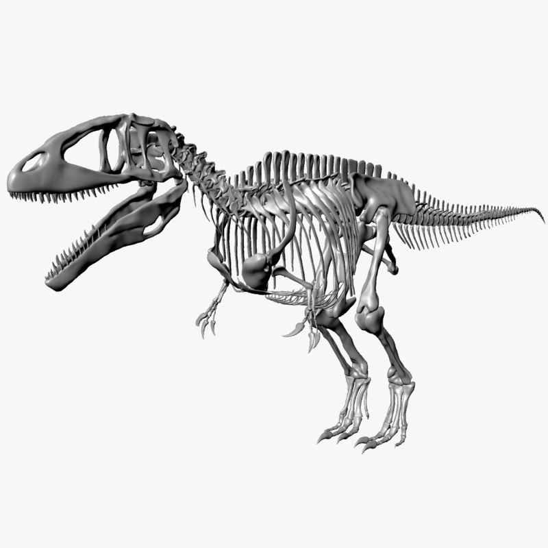 Skeleton carcharodontosaurus 3D model - TurboSquid 1284129