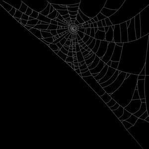 spider web 3D