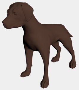 puppy dog 3D