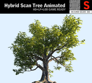 3D model tree scanned ready