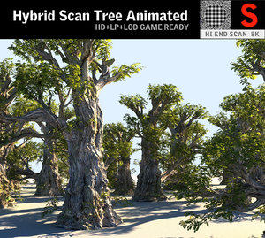 3D tree scanned ready