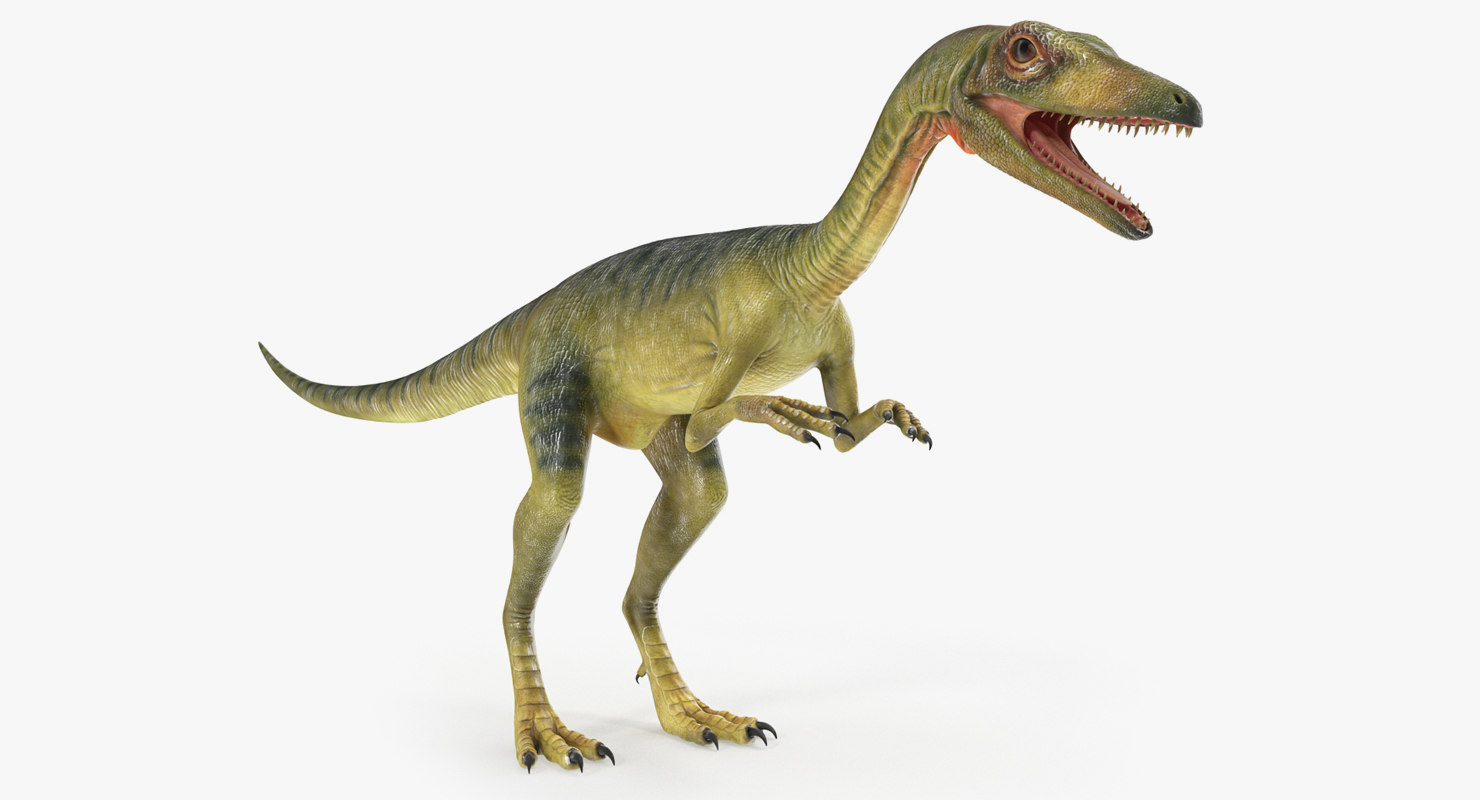 3D compsognathus  carnivorous dinosaur model TurboSquid 