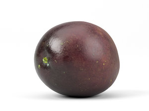 photorealistic scanned passion fruit 3D