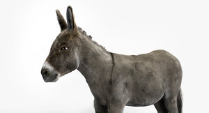 3D model realistic donkey