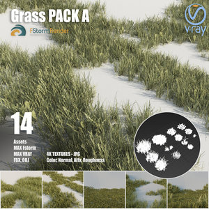 3D grass pack plant model
