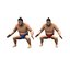 sumo wrestler character 3D model