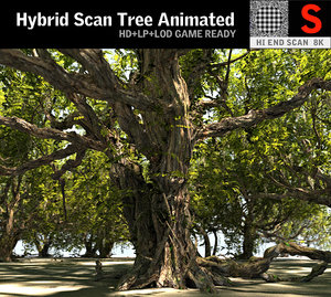 3D tree hd model