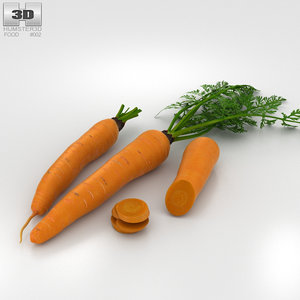 carrot vegetable food 3D model