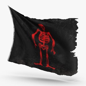3D pirate flag