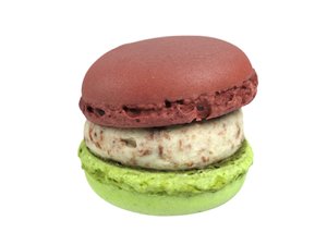 3D photorealistic scanned macaron