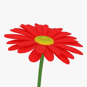 3D red daisy