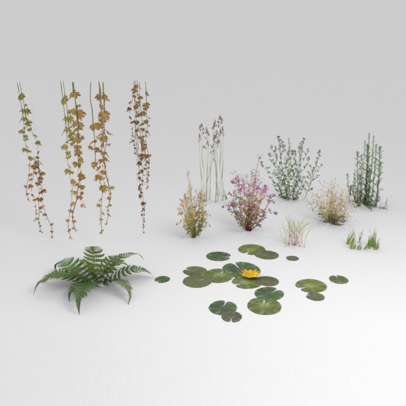 3D lowpoly plants model TurboSquid 1288504