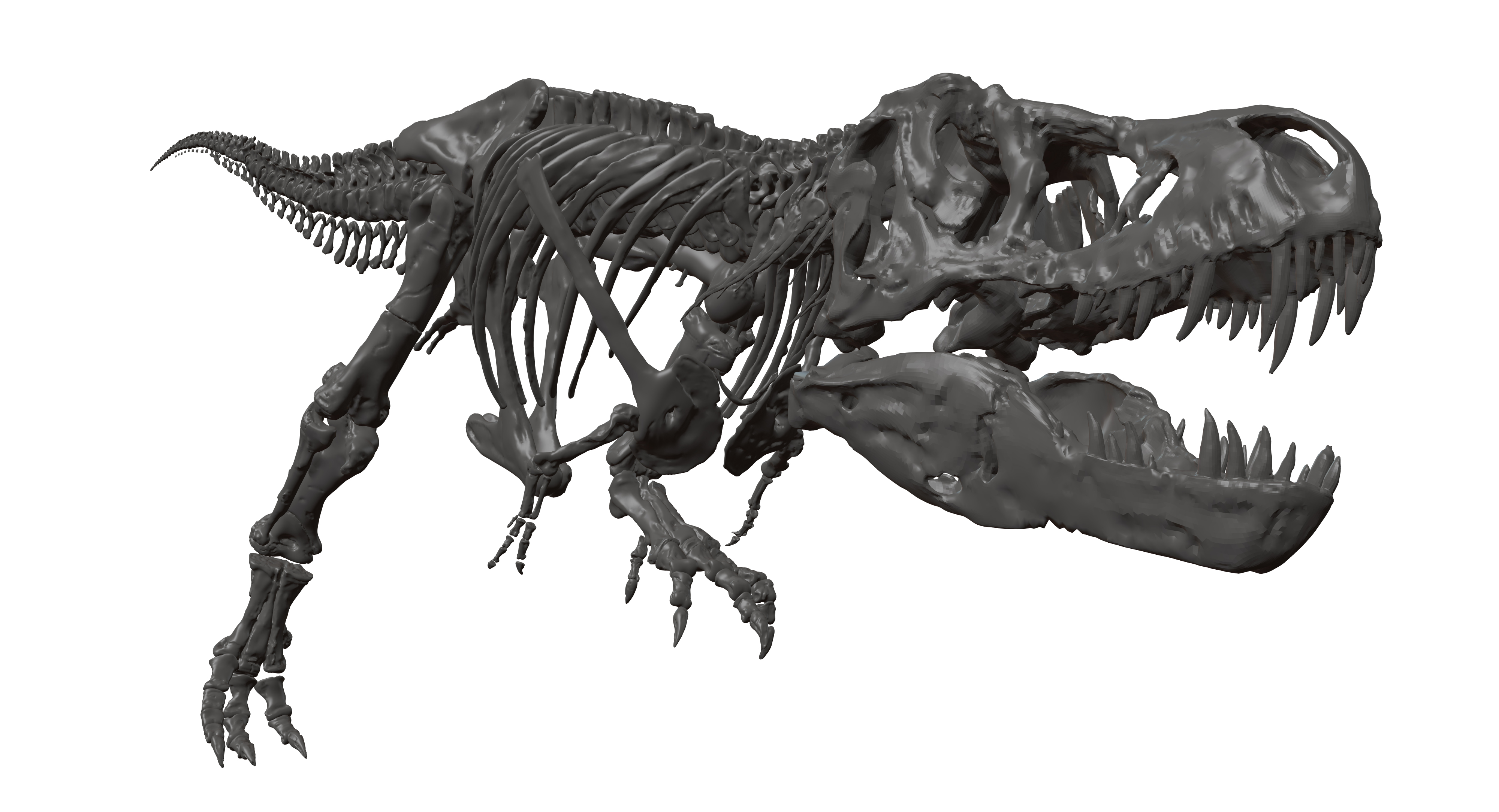 3D tyrannosaurus rex skeleton TurboSquid 1288798