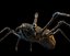 spider one-of-a-kind animations 3D