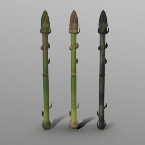 asparagus ready games 3D model