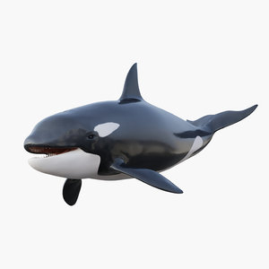 rigged killer whale 3D