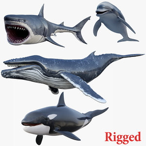 set rigged animals 3D model