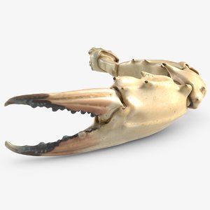 crab claw 2 3D