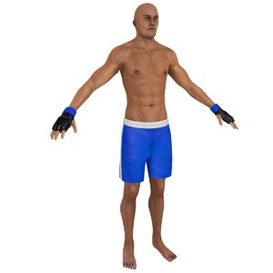 3D mma fighter