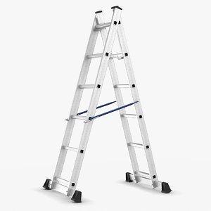 3D ladder
