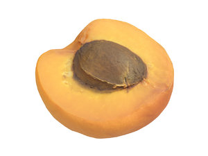 photorealistic scanned apricot half 3D