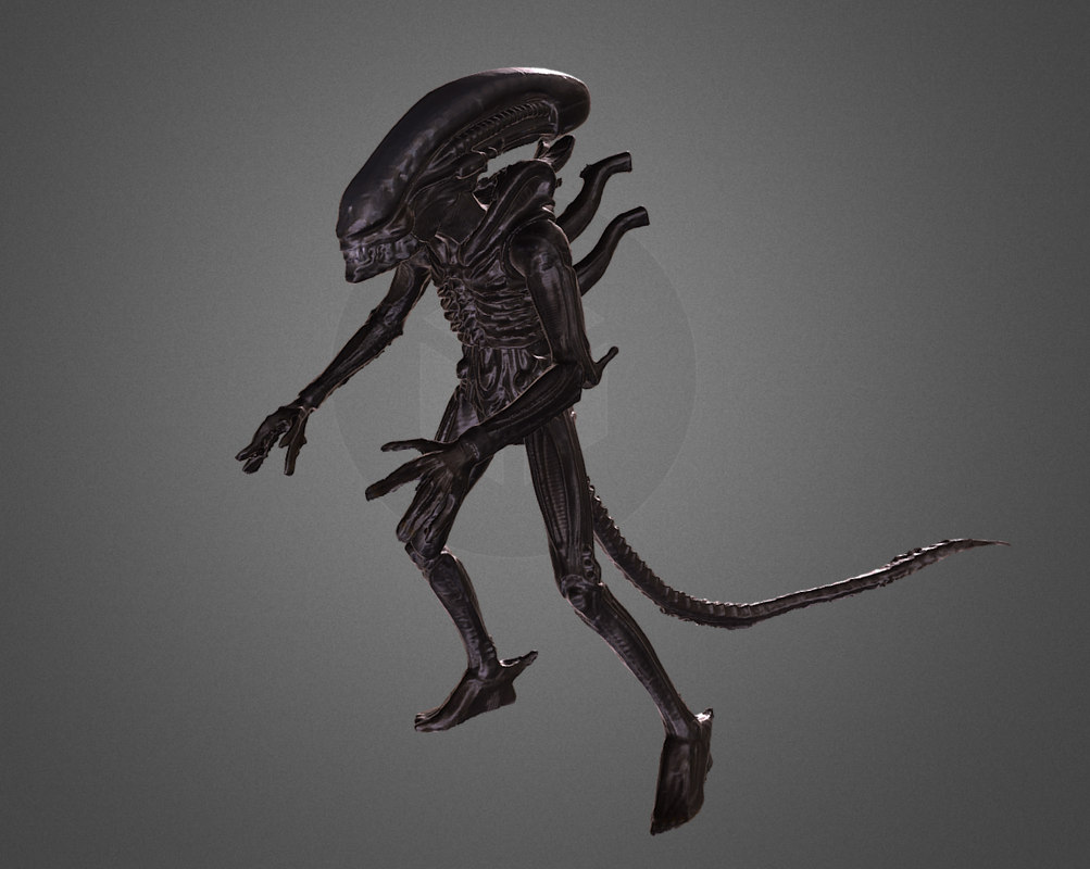 3d Scan Alien Xenomorph Turbosquid 1290186