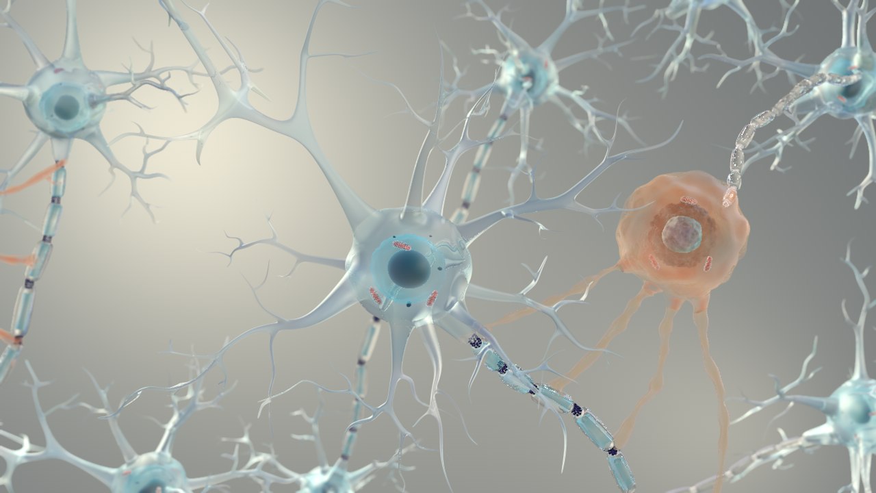 brain neurons for cinema 4d 3d