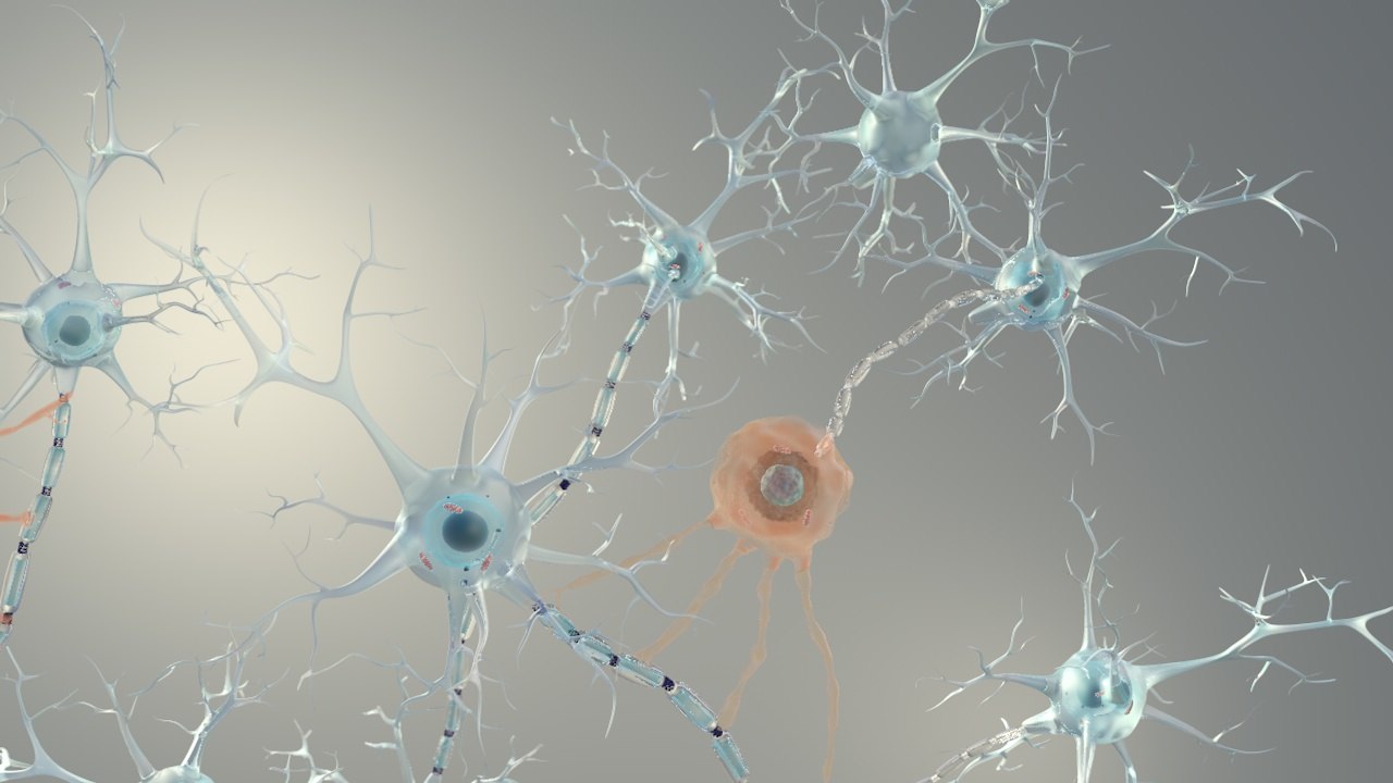 brain neurons for cinema 4d 3d