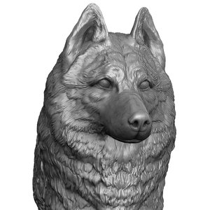 husky head realistic model