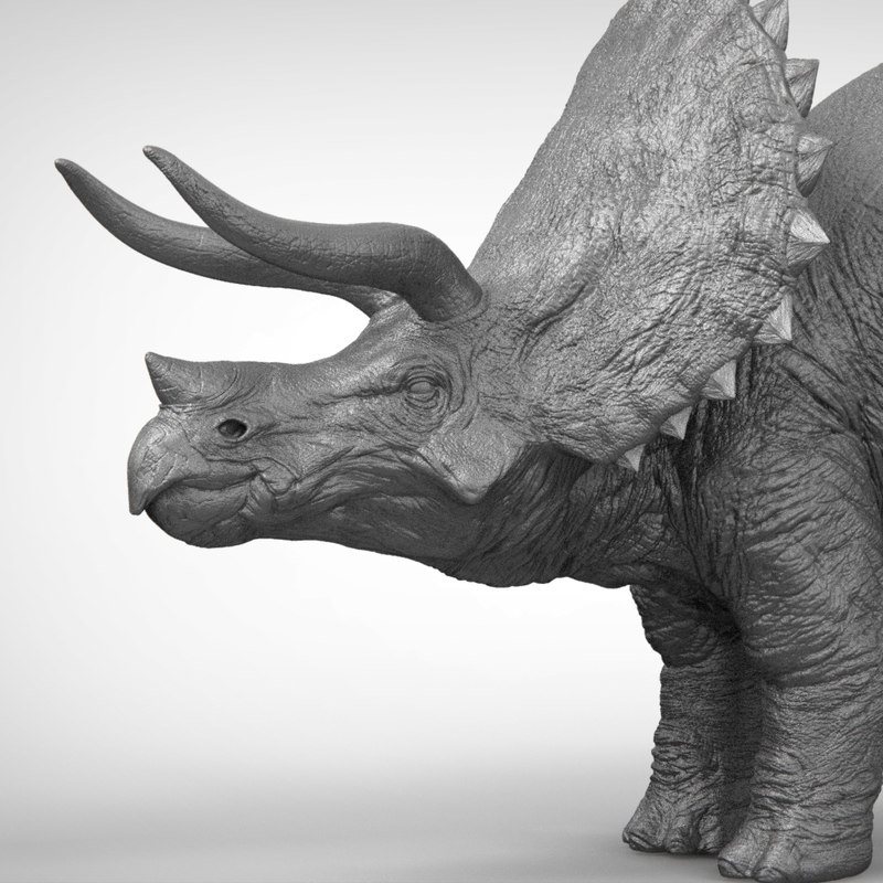 triceratops zbrush