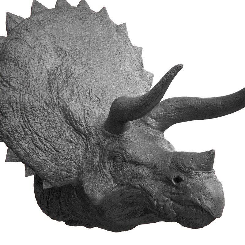 triceratops view in 3d