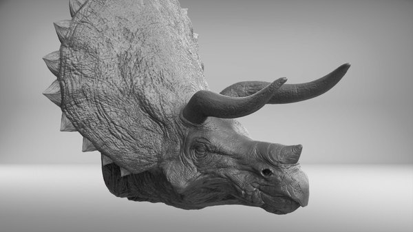 triceratops head