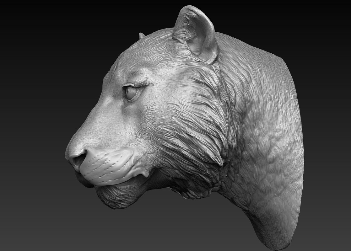 zbrush models