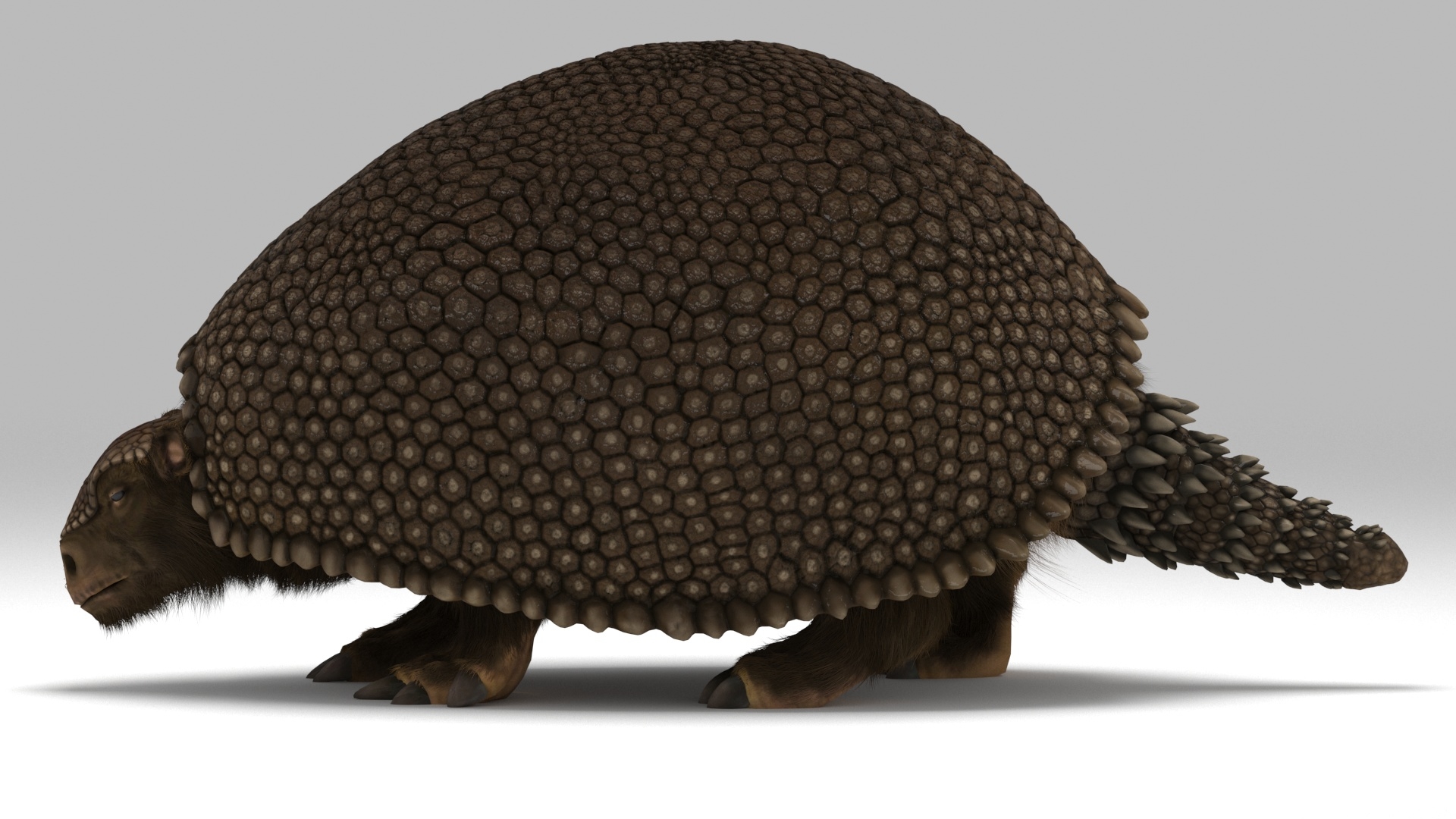 3D модель глиптодон - TurboSquid 1290761