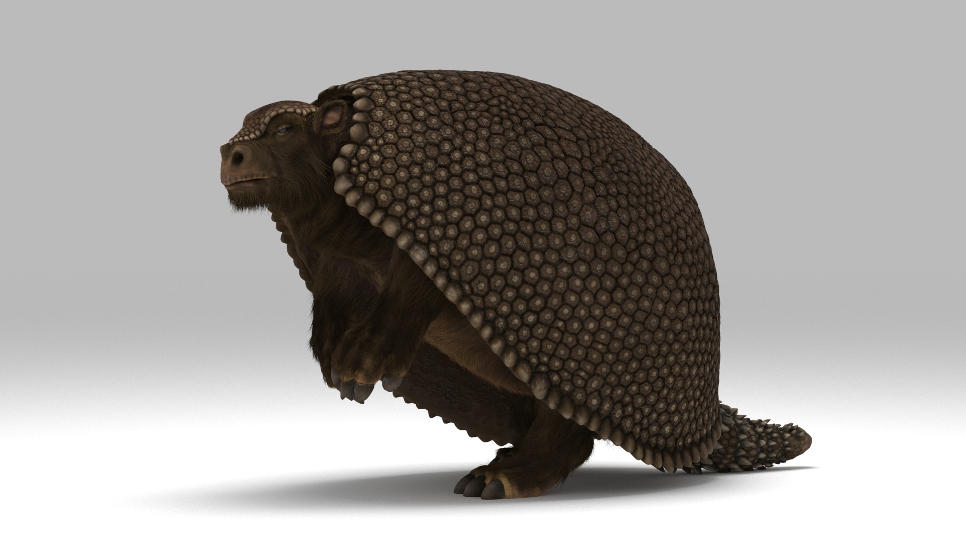 3D модель глиптодон - TurboSquid 1290761