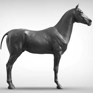 3D sport horse