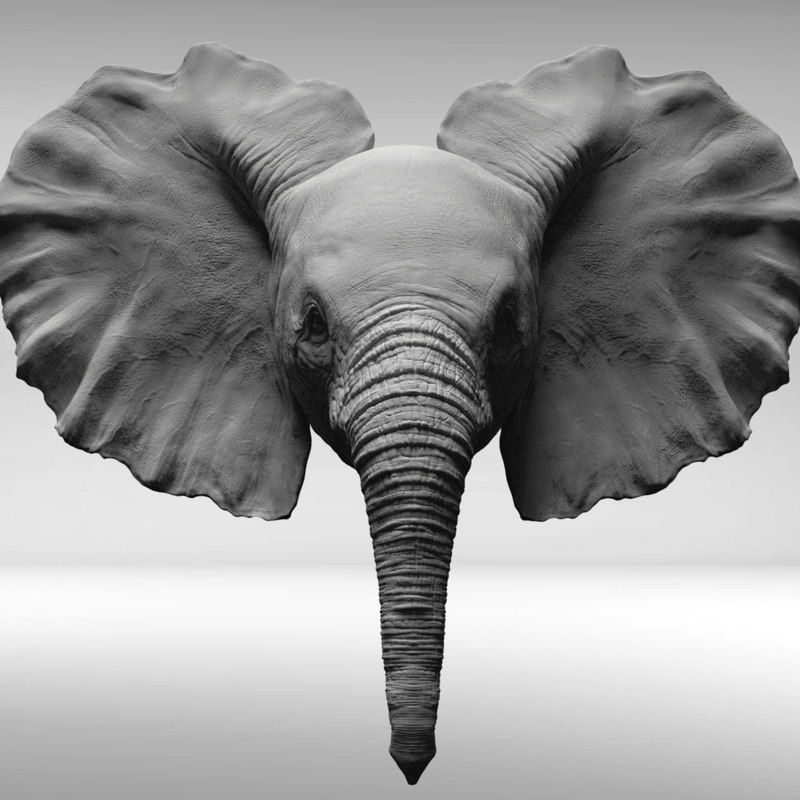 3D elephant baby head - TurboSquid 1291250