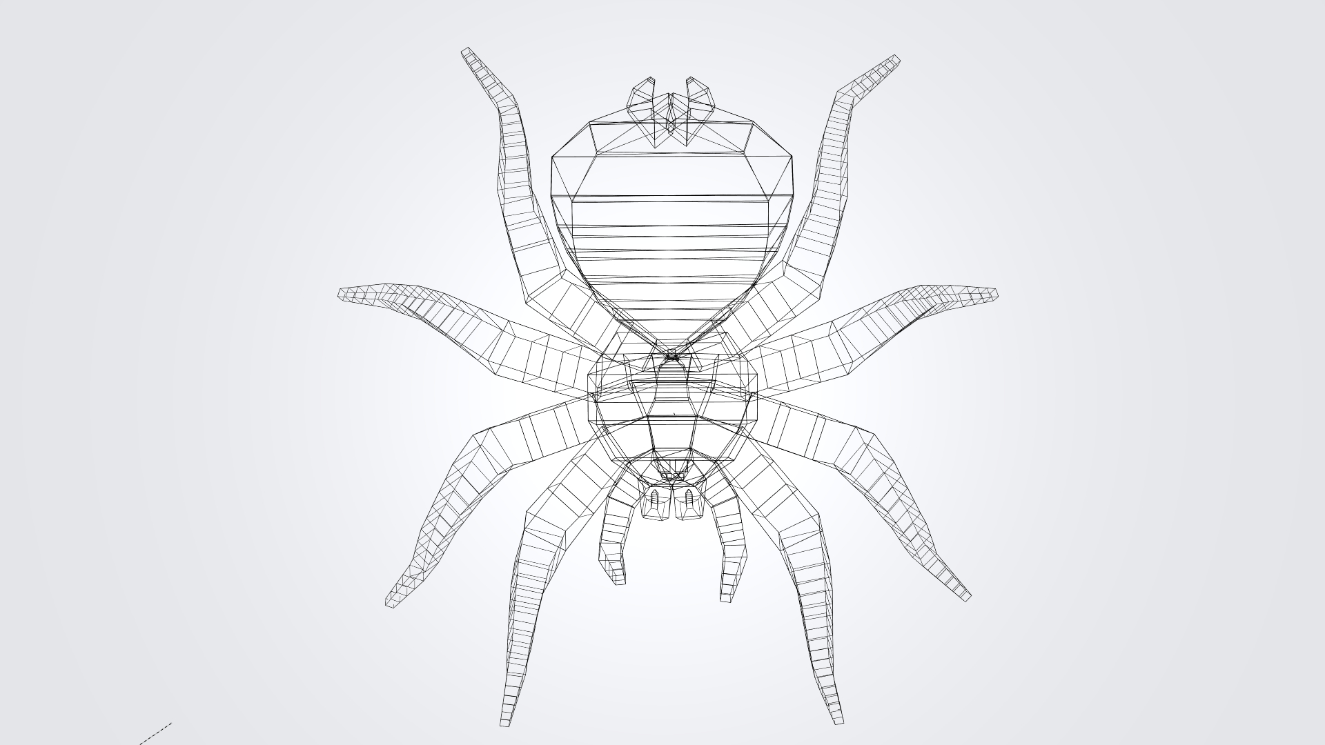 蜘蛛狼蛛(theraphosidae)3d模型