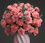 bouquet pink roses model