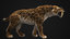 saber-toothed smilodon 3D model