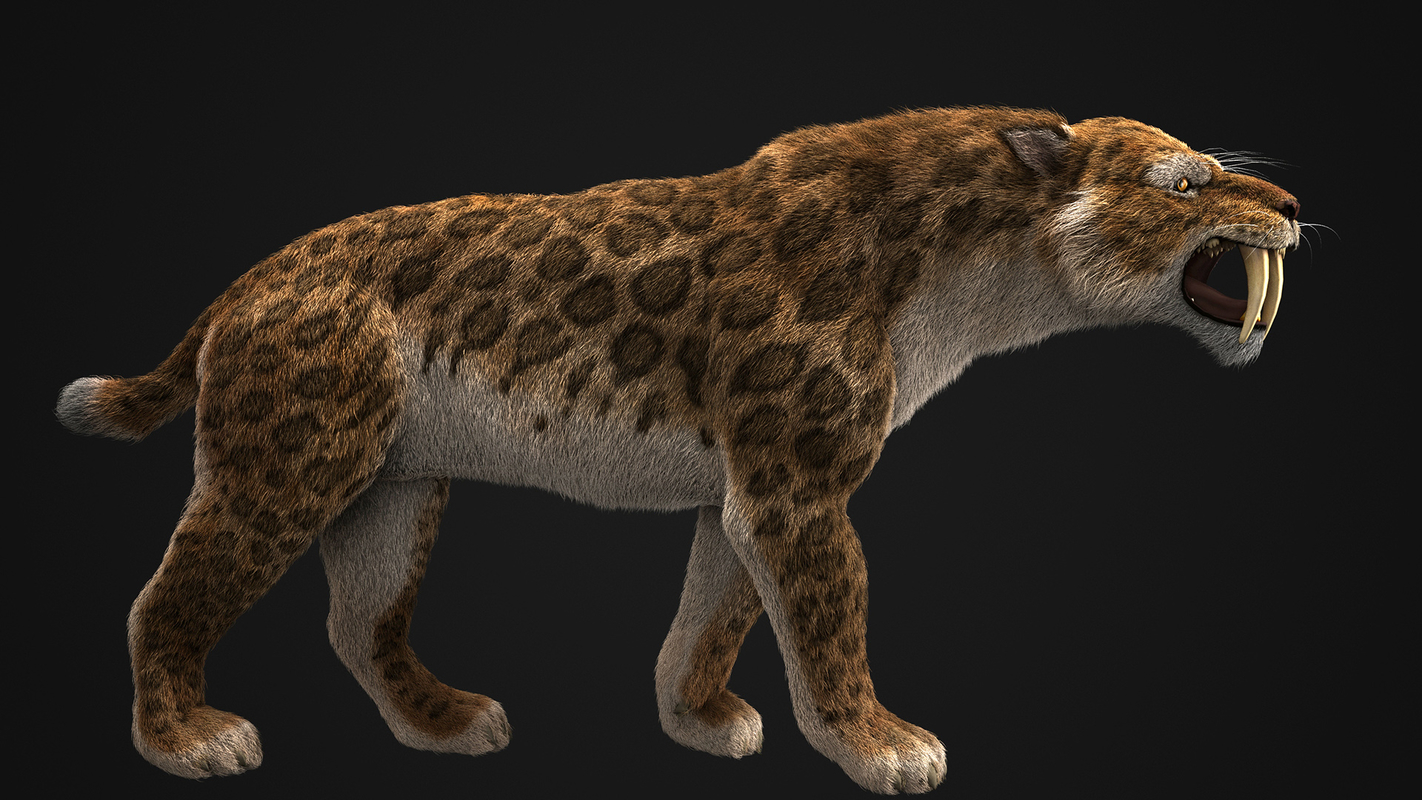 Saber-toothed smilodon 3D model - TurboSquid 1292400